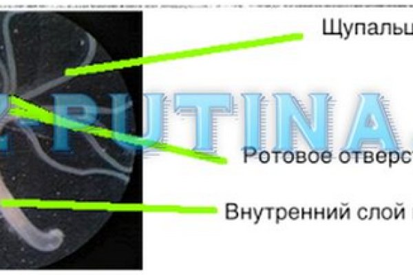 Кракен маркетплейс телеграм