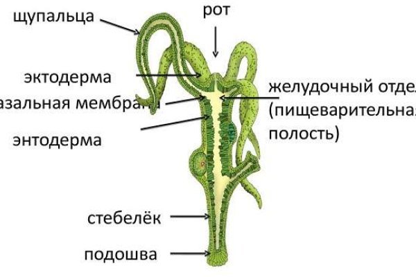 Ссылка на кракен реальная